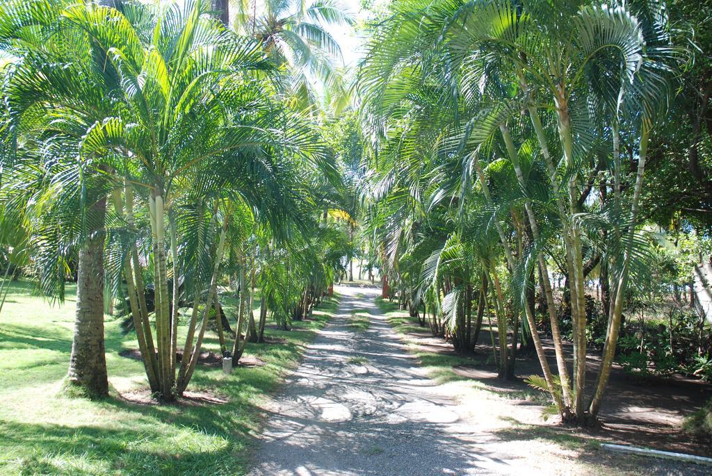 Beso Del Viento (Adults Only) Hotel Parrita Ngoại thất bức ảnh