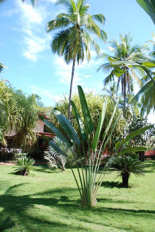 Beso Del Viento (Adults Only) Hotel Parrita Ngoại thất bức ảnh