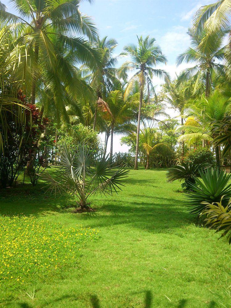 Beso Del Viento (Adults Only) Hotel Parrita Ngoại thất bức ảnh