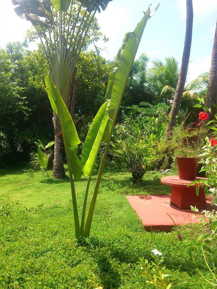 Beso Del Viento (Adults Only) Hotel Parrita Ngoại thất bức ảnh