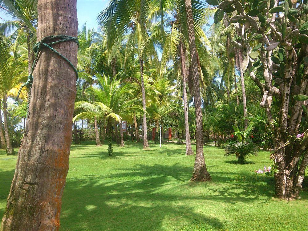 Beso Del Viento (Adults Only) Hotel Parrita Ngoại thất bức ảnh
